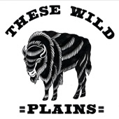 These Wild Plains - Fast & Blue