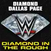 Stream & download WWE: Diamond in the Rough (Diamond Dallas Page) - Single
