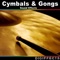 Gong, Cymbal, And China Bend up Version 3 - Digiffects Sound Effects Library lyrics