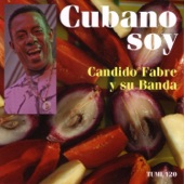 Cubano Soy artwork