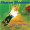 Kids: Fead an Fhiolair / Never Going Back Again - Sharon Shannon lyrics