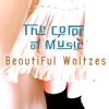 The Color of Music: Beautiful Waltzes