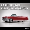 Rare Doo-Wop and Rhythm & Blues Vocal Groups, Vol. 4, 2016