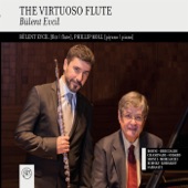 The Virtuoso Flute artwork