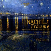 Nacht und Träume, Op. 43 No. 2, D. 827 artwork