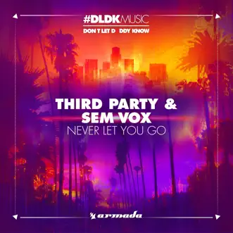 Never Let You Go (Extended Mix) by Third ≡ Party & Sem Vox song reviws