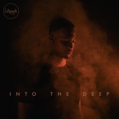 Into the Deep (Live) artwork