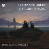 Schubert: Piano Sonatas, Vol. 2 artwork