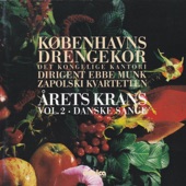 Årets Krans - Danske Sange Vol. 2 artwork