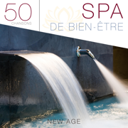 Le spa de bien-être 50 - Musique pour relaxation et méditation - Various Artists