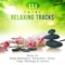 Echoes of Nature - Relaxation & Meditation Academy lyrics