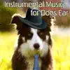 Instrumental Music for Dogs Ear: Pets Relaxation, Comfort & Happiness, Jazz Music for Pets While You're Out album lyrics, reviews, download