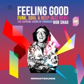 Feeling Good: The Supreme Sound of Producer Bob Shad artwork