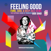 Bob Shad - Feeling Good: The Supreme Sound of Producer Bob Shad artwork