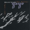 Marvin Gaye: The Master (1961-1984) ジャケット写真