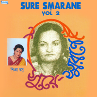 Shipra Basu - Sure Smarane, Vol. 2 artwork