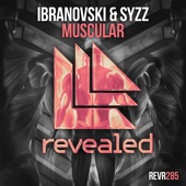 Muscular (Extended Mix) artwork