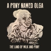 A Pony Named Olga - We Had Some Fun