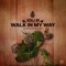 Walk in My Way artwork