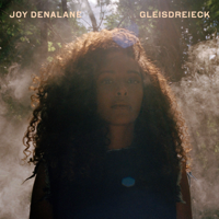Joy Denalane - Gleisdreieck (Deluxe Edition) artwork