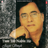 Mujhe Tumse Mohabbat - Jagjit Singh