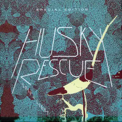 Ship of Light - Husky Rescue