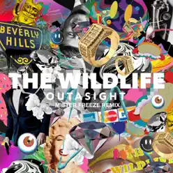 The Wild Life (Mister Freeze Remix) - Single - Outasight