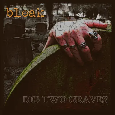 Dig Two Graves - Bleak