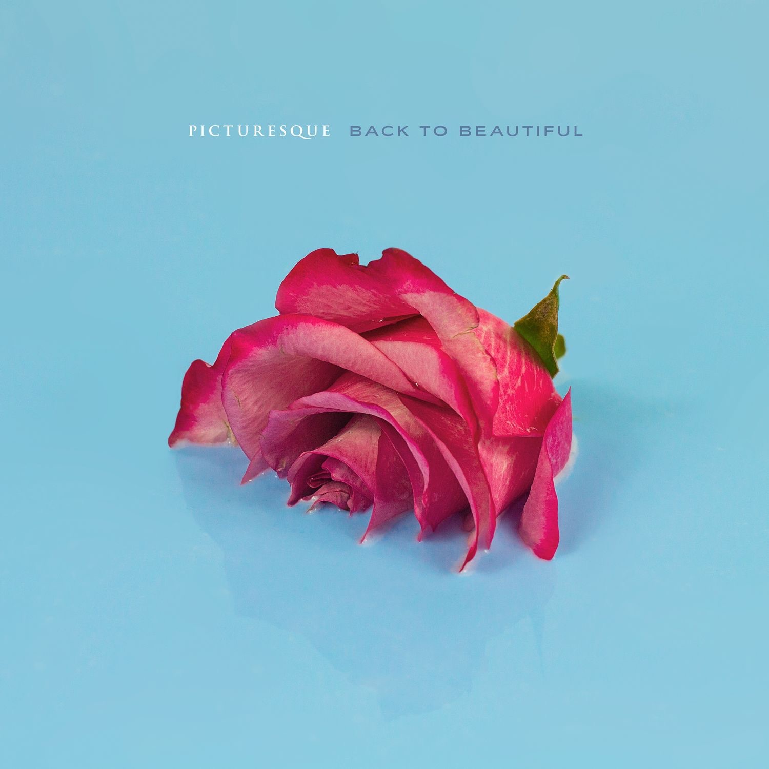 Picturesque - New Face [single] (2017)