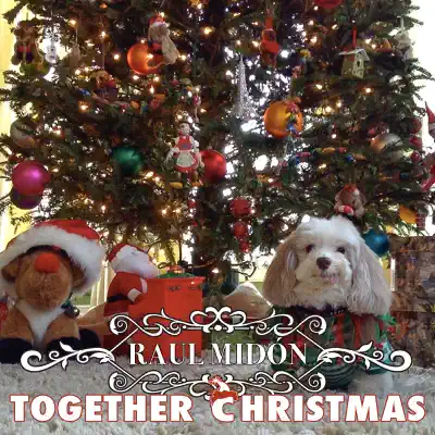 Together Christmas - Single - Raul Midon