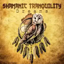 Shamanic Tranquility Dreams: Ethnic Meditation for Calm Down, Spiritual Journey, Deep Sleep, Soothing Sounds for Mental Well Being, Indian Drums & Chants by Shamanic Drumming World album reviews, ratings, credits