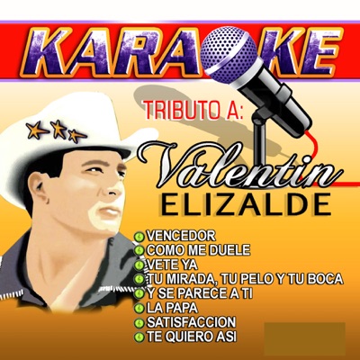Vencedor (Originally Performed By Valentin Elizalde) [Karaoke] - Platino  Records | Shazam
