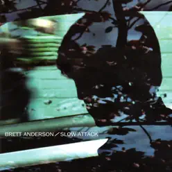 Slow Attack - Brett Anderson