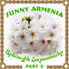 Sunny Armenia 3