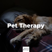 Pet Therapy - Relaxing Music for Dogs, Cats with the Best Sounds of Nature artwork