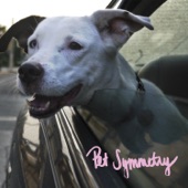 Pet Symmetry - A Detailed and Poetic Physical Threat to the Person Who Intentionally Vandalized My 1994 Dodge Intrepid Behind Kate's Apartment