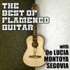 Best of Flamenco Guitar with De Lucia, Montoya & Segovia, 2014
