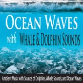 Ocean Waves With Whale & Dolphin Sounds: Ambient Music With Sounds of Dolphins, Whale Sounds, And Ocean Waves artwork