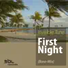 First Night (Bora-Mix) - Single album lyrics, reviews, download