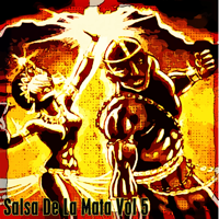 Various Artists - Salsa De La Mata, Vol. 5 artwork
