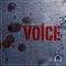 Voice (Igor Voevodin Remix) - Platinum Monkeys lyrics