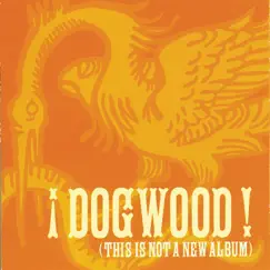 This Is Not a New Album by Dogwood album reviews, ratings, credits
