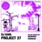 Project 37 - DJ Karl lyrics