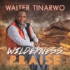 Wilderness Praise