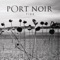 Swarm - Port Noir lyrics