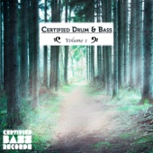 Certified Drum & Bass, Vol. 1 artwork