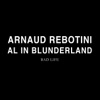 Al in Blunderland - Single