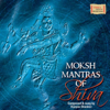 Moksh Mantras of Shiva - Vijayaa Shanker