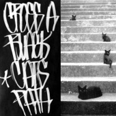 Cross a Black Cat's Path artwork