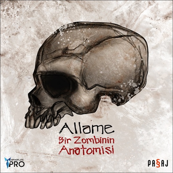 Cover artwork for Anahtar